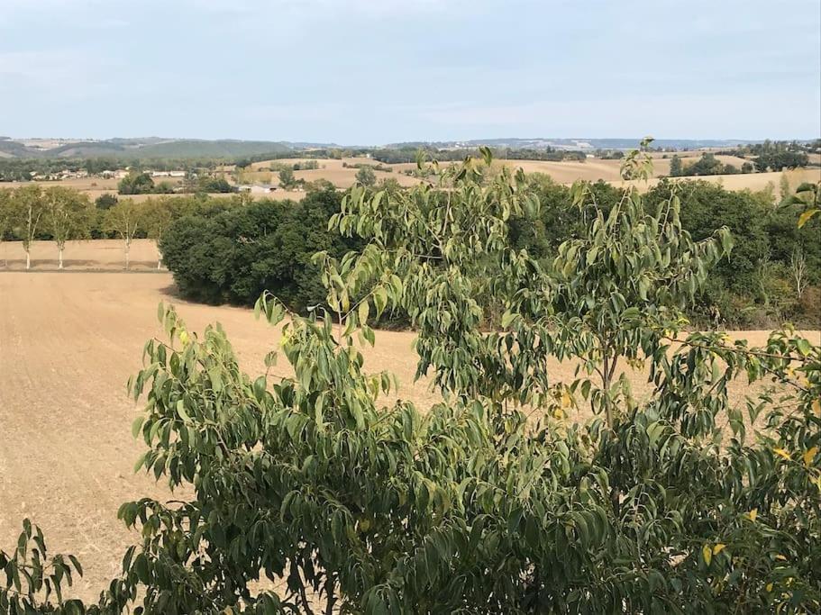 Appartement Neuf & Ecologique A La Campagne Marzens Dış mekan fotoğraf